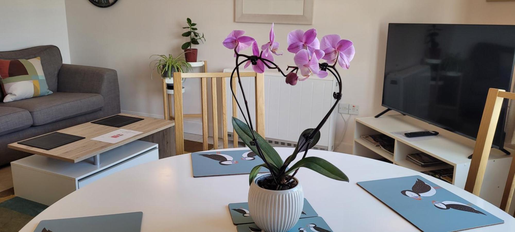 Heart Of Inverness-City Apartment Екстер'єр фото